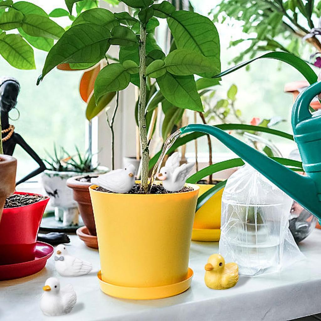 DIYBravo Miniature Pigeon Mini Scenery Set of Featuring Fish Micro Landscape Micro Landscape Entryway Bookshelf Plant Tabletop Garden Picks and