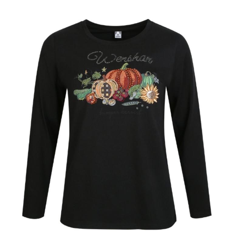 Long-sleeved T-shirt Women's Spring and Autumn Fashion Embroidered Cotton Blouse Bottoming Shirt Women