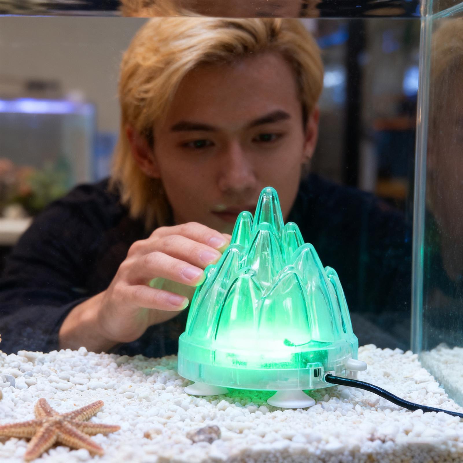 

Aquarium Volcano Remote Control Waterproof Aquarium Volcanic With Air Stone Bubbler For Saltwater Freshwater Turtle Bowl Living China Mainland