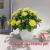 Flowers Eighteen Simulated Daisy Pine Cone Artificial Green Plant Potted Plant