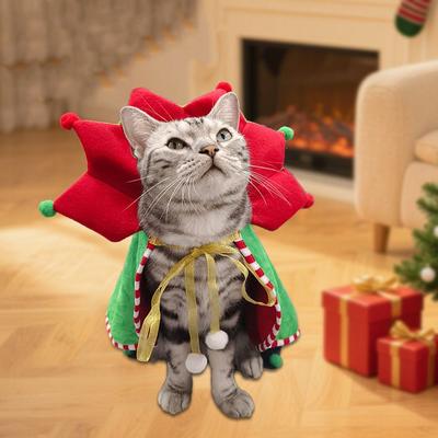 Kedi – Kediler için giyim