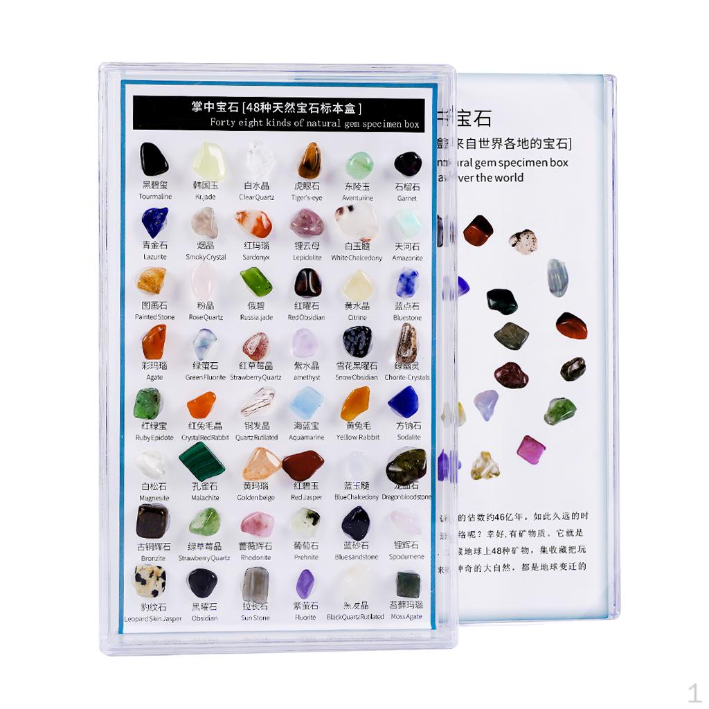 48pcs Real Gems Mineral STEM Science & Educational Toys Activities School Supplies