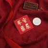 10PCS Best Wishes Luck Money Bag New Year Packet Red Envelope  New Year Gifts