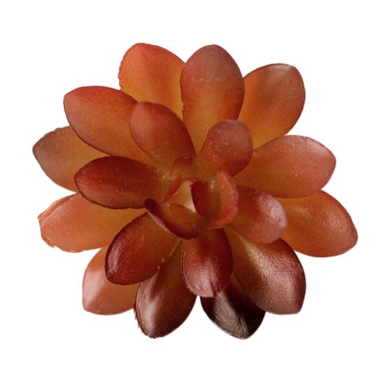 Mini Künstliche Sukkulenten Realistische Fake Kleine Kakteen Pflanzen Bunte Kunststoffe Beflockte Topflose Pflanzen für Garten Blumentopf Küche Heimdeko