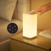 Rechargeable Touch Table Lamp RGB Dimmable Night Light with Remote Control Timed Bedside Lamp For Bedroom Living Room Lighting
