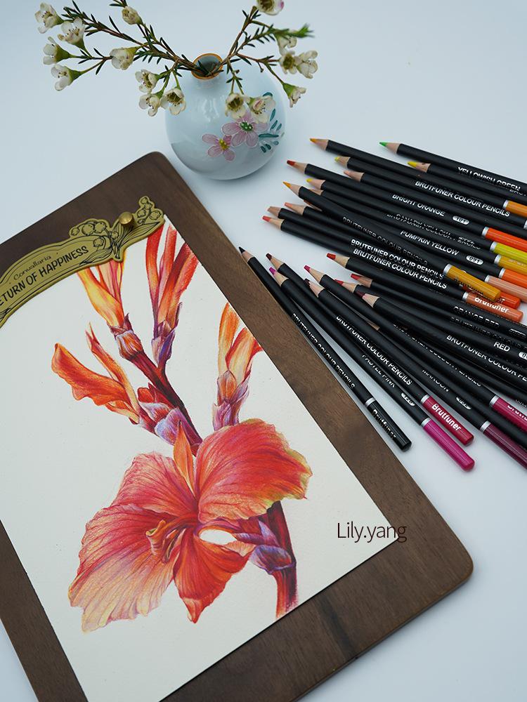 Brutfuner Black Barrel Oil-Based Colored Pencils - Thick Core, Soft, Available In 72, 120, or 180 Colors, In Tin or Paper Box