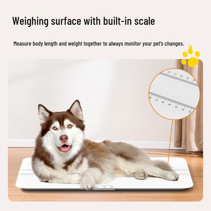 Smart Digital Pet Scale (CN version)