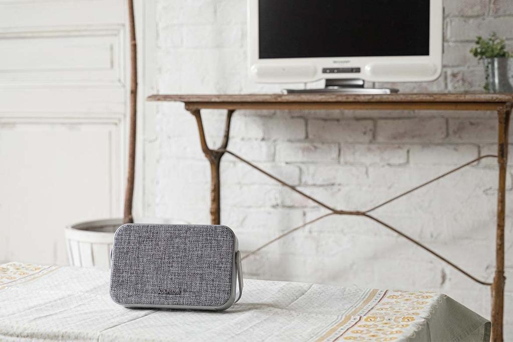 LITHON Audinsound TV Wireless Speaker SP-15 KABS-016A