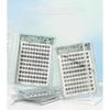 xixi - Glue-Free Eyelashes