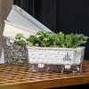 Maceta Transparente de Riego Automático para Plantas de Interior y Exterior Maceta de Plantación con Agujero de Drenaje Depósito Profundo Maceta para Hierbas y Flores con Cuerda de Mecha