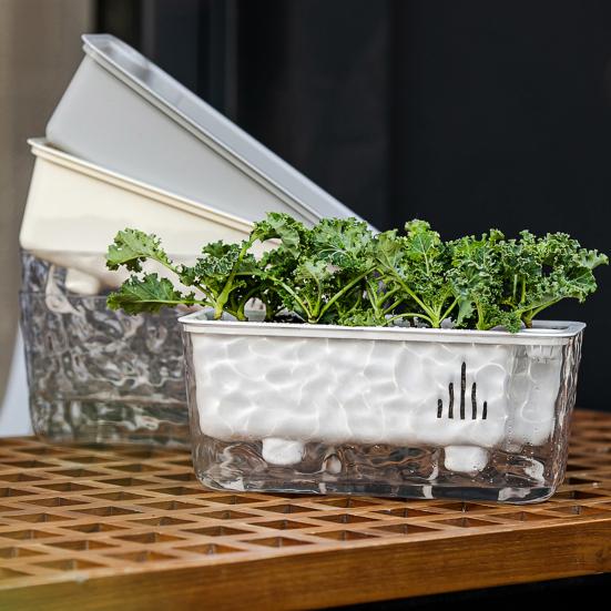 Maceta Transparente de Riego Automático para Plantas de Interior y Exterior Maceta de Plantación con Agujero de Drenaje Depósito Profundo Maceta para Hierbas y Flores con Cuerda de Mecha