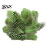Feather Decorations for Colors 4.5-10cm Natural Chicken Guineahen Feathers Crafts 50Pcs Tail Bright Colored DIY