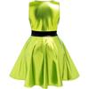 Girls Metallic Party Dress Sleeveless Round Neck A Line Design Contrast Waist Invisible Zipper Halloween Outfit