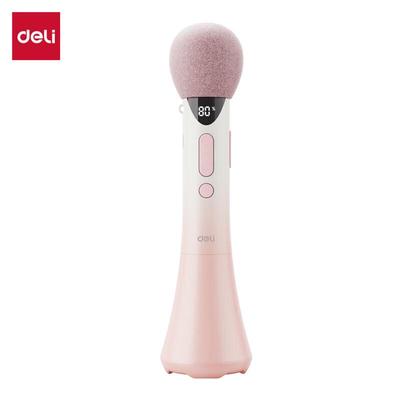 Deli LT220 17W Portable Bluetooth Voice Amplifier CN Plug (adapter Included)