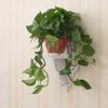 Sharp Point for Living Room Decor Floating Wall Shelf Flower Pot Rack Storage Board Display Rack