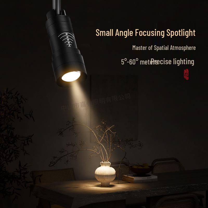 

Adjustable Zoom Surface Mounted LED Spotlight for Tea Rooms and Entrances Recessed 75mm Black 3W