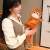 Long Arm Large Plush Monkey Doll Stuffed Doll Orangutan Plush Doll Long Arm Gorilla Doll  Baby Toys
