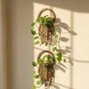 1 pièce Créature marine Méduse Bohème Forme Plante Verte Étagère Murale de Rangement Artisanat en Bois Simple Décoration de Maison Chambre à Coucher