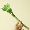 Silvervine Stick Cats Toy Natural Cats Chew Toy for Teeth Cleaning,Matatabi Dental Care Kitten Treat for Bored Kitties