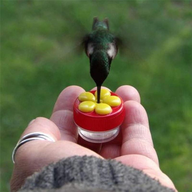 Flowers Shape Handhold Bird Hummingbird Feeder Drinker Plastic Seed And Water