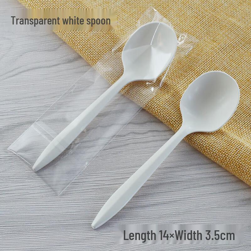 CHULV Biodegradable Disposable Spoons