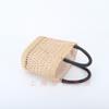Woven Straw Handbag Women Small Vertical Square Tote Beach Bag Casual Daily Use