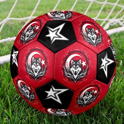 Fußball – Fußbälle