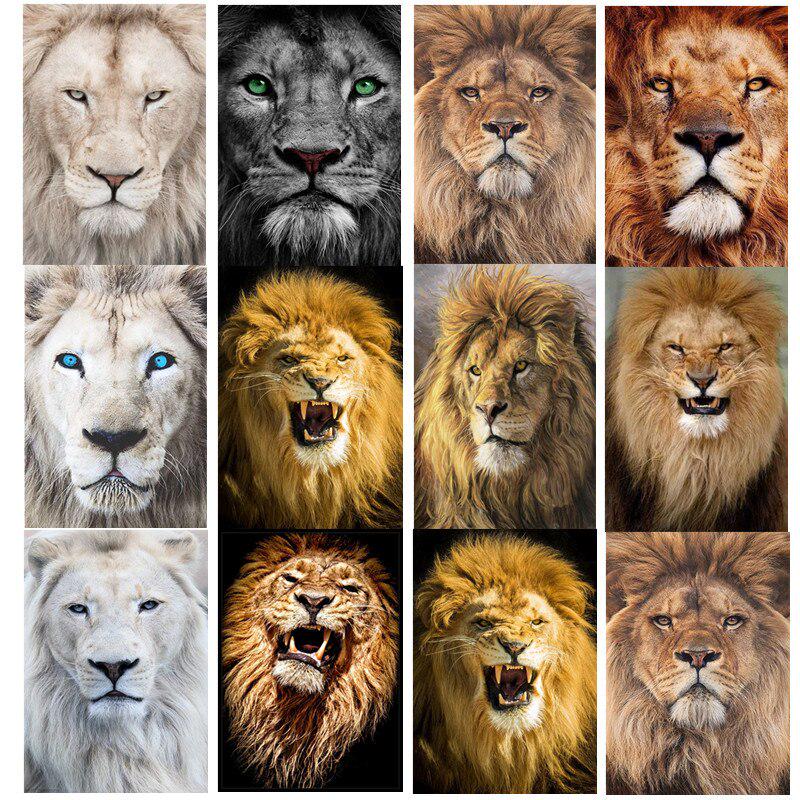 5D DIY Diamond Painting Animal Lion Full Round Diamond Painting Cross Stitch Diamond Embroidery