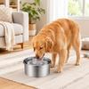 Stainless Steel Cat Water Bowl 1.2/3.2 L Pet Water Feeder Durable Dog Water Dispenser  Home Use