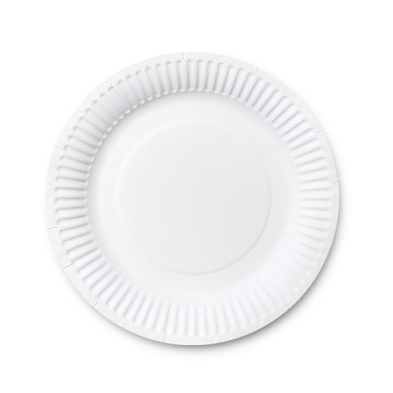 

OIMG Decorative Disposable Paper Plates