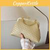 Fashion Woven Shell Bag With Chain Strap For Daily Casual Use