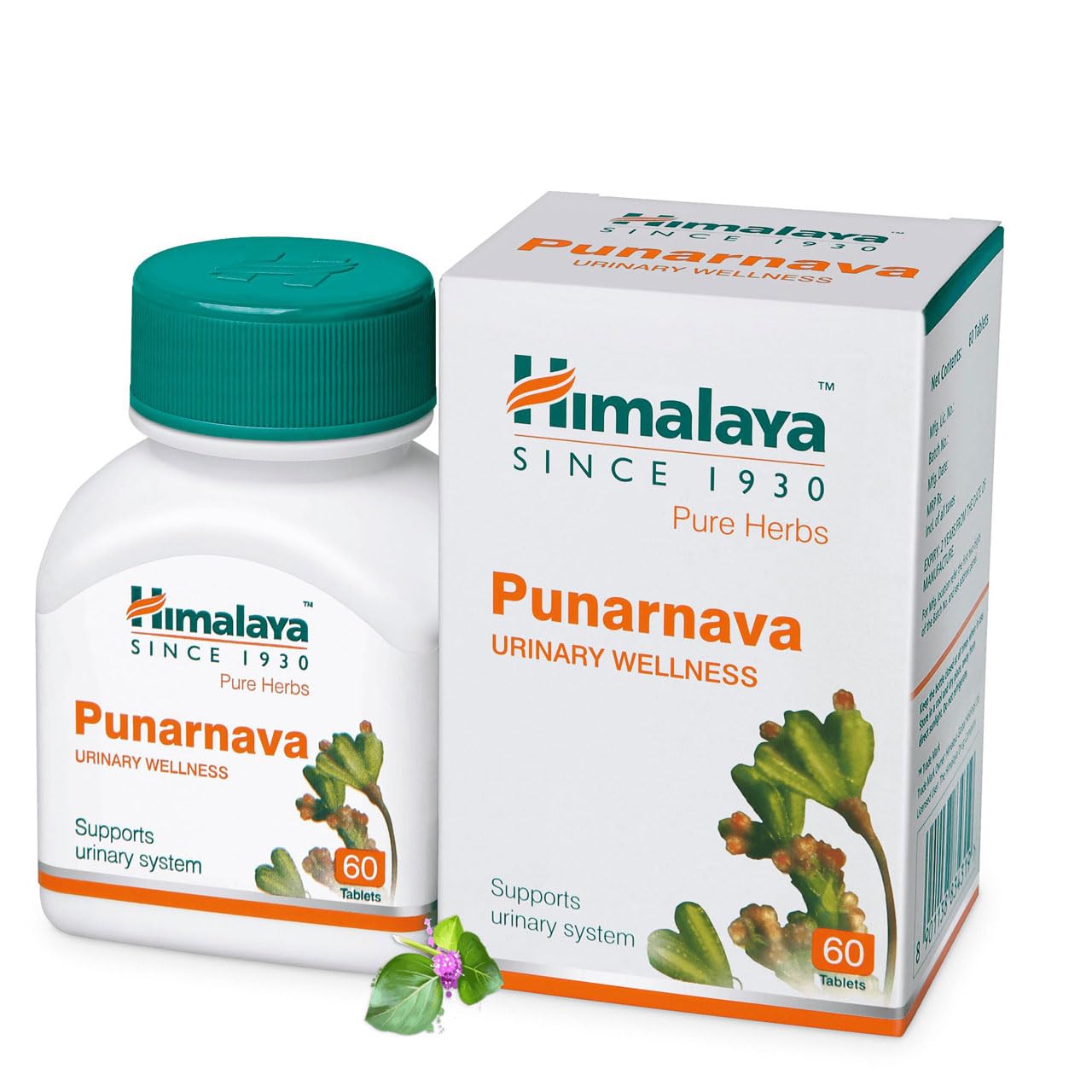 

Himalaya Punarnava Tablets 60 Count Natural Herbal Supplement For Vitality, Wellness Support And Body Renewal