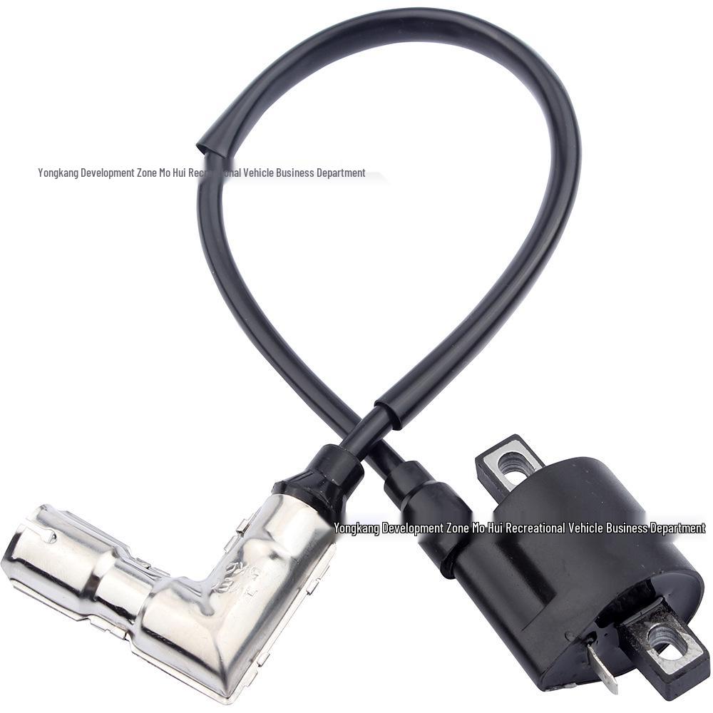 

ATV & Off-Road Motorcycle High-Voltage CDI Ignition Coil (CG125-250CC) Twin Cylinder