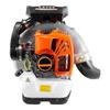 Century Cat Backpack Gasoline Blower CN Plug (adapter Included)