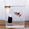 All-in-one Fish Tank Essential!  3PCS 3-in-1 Submersible Filter: Oxygen + Water Flow + Filtration. Quiet, Compact & Powerful!