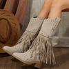 Botas Autumn New Style Women Tassel Thick Soled Mid Heeled Short Boots Suede Pointed Outdoor Women's Fashion Denim Mid Leg Boots