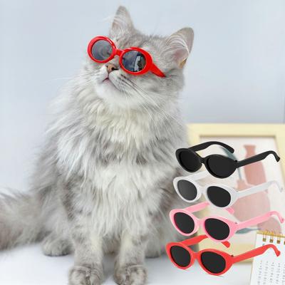 Kočky – Oblečení pro kočky