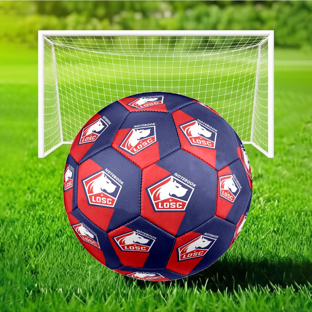 Lyon Football Club Emblem Soccer Ball Size 5 Soccer Ball, Machine-stitched, Soft and Comfortable, Suitable for Training and Matches Fan Gift