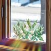 Lily Flower Home Beautification and Decoration Glass Doors and Windows Anti-static Window Stickers