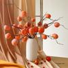 Persimmon Fruit Flower Arrangement: New Year's Dried Floral Decoration