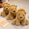 Cute Cute Little Lion Doll Plush Toy Zoo Lion Doll Children'S Company Soothing Doll