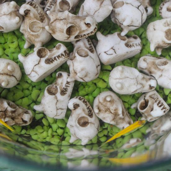 20 Pcs Dragon Skull Miniatures Mini Resin Dragon Skull Heads Decorative Dragon Skull Vase Fillers for Potted Plants Aquarium Garden Landscaping