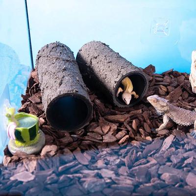 Neue Kreative Aquarium Dekoration Cichliden Rohr Röhre Felsen Höhle Dekoration Aquarium Zucht Gehäuse Unterschlupf Ornament Für Fische Garnelen