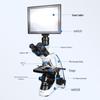 AOSVI Professional Biological Microscope