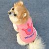 T-shirt Gilet Estivo con Lettera e Corona da Principessa per Cane Gatto Cucciolo Costumi