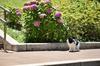 HANSA HANSA Black and White Cat No.4221