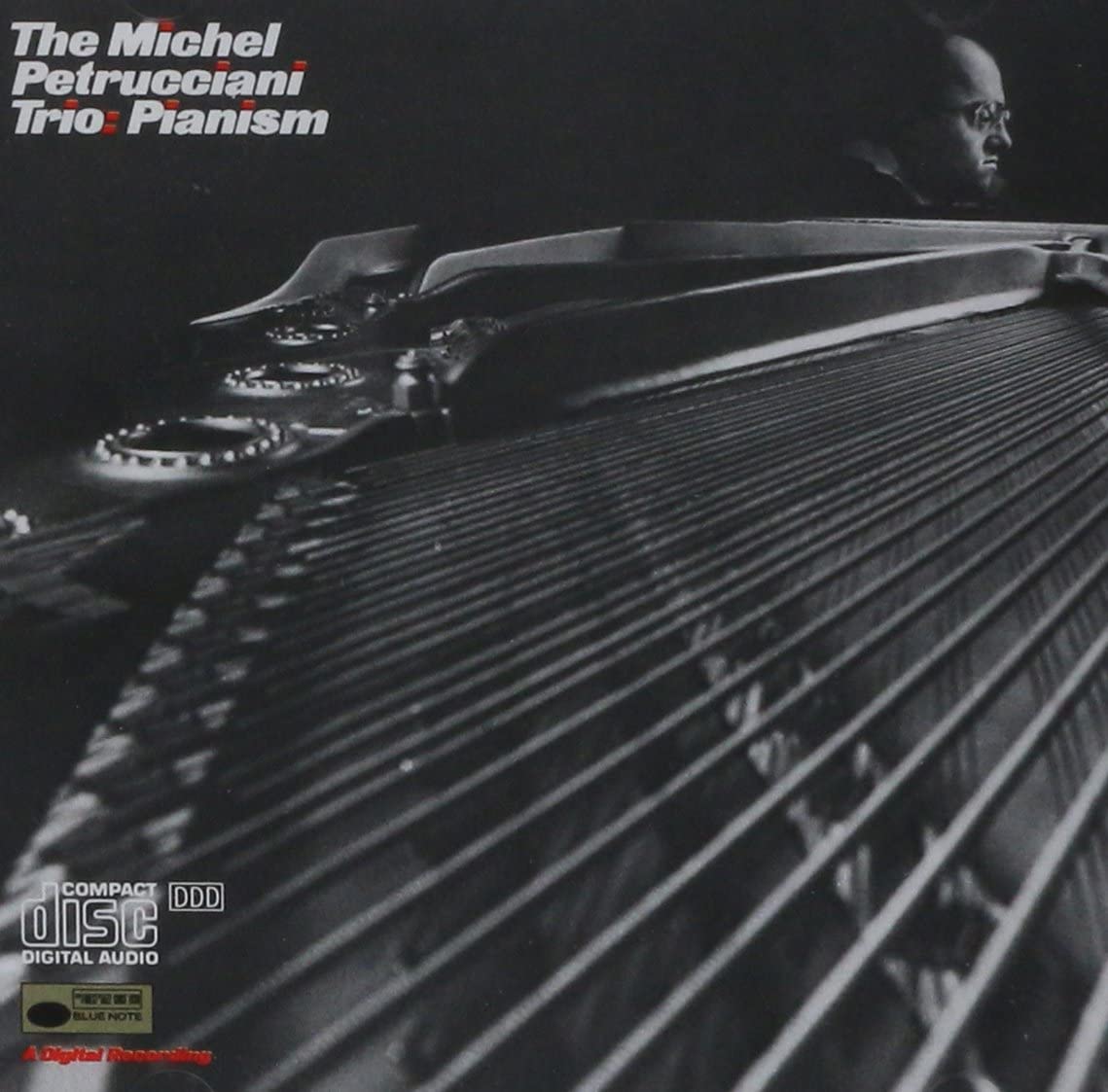 

CD МИШЕЛЬ ПЕТРУЧЧИАНИ - Пианизм CDP7462952 Blue Note Europe Рок Б/У