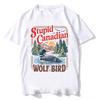 T-shirt Unisexe Imprimé Graphique d'Oiseaux Sauvages de Forêt Nouveau 2026, Hibou du Lac Coucher de Soleil Cabane Cadre Rectangulaire Avec Texte Double Ligne sur la Poitrine Haut Décontracté Streetwear