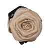 Hairpin Dry Rose Flower Decor Hair Clip with Imitation Pearls Half-Tie Hair Side-swept Hair Claw Vintage Style Hair Accessory
