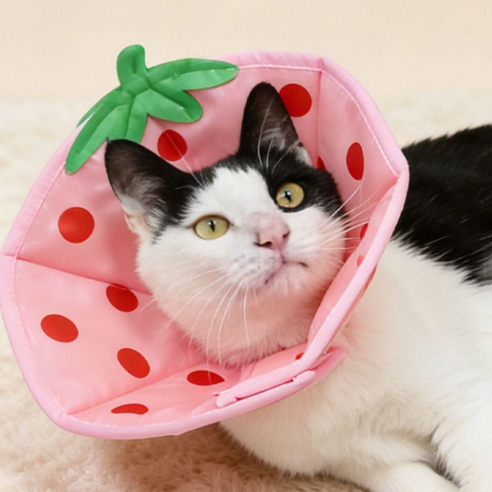 Bees Cat Elizabeth Collar Strawberry Cat Dog Grooming Cover Dog Recovery Collar for Dogs Cats